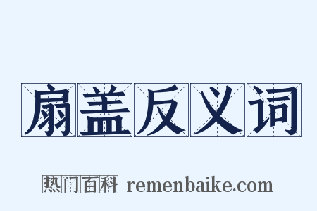 扇盖反义词是什么意思的图片